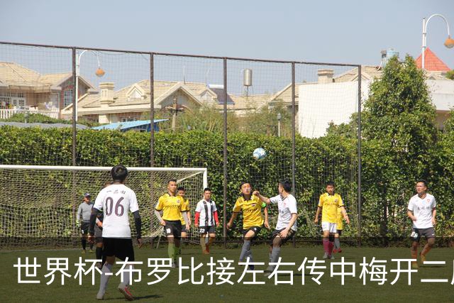 世界杯-布罗比接左右传中梅开二度 荷兰半场暂2-0瑞典