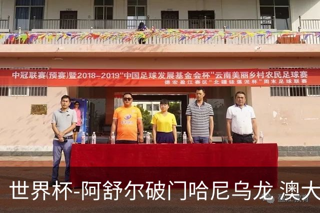 世界杯-阿舒尔破门哈尼乌龙 澳大利亚1-1埃及进点球