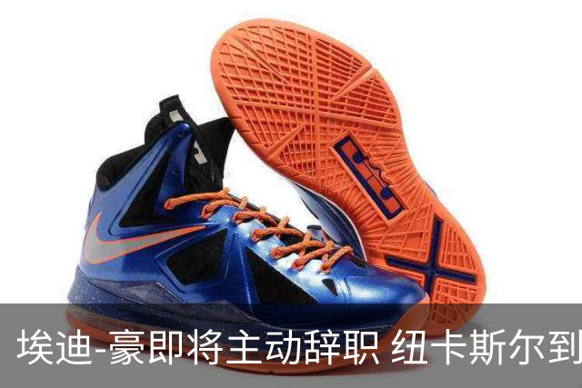 埃迪-豪即将主动辞职 纽卡斯尔到底发生了什么？