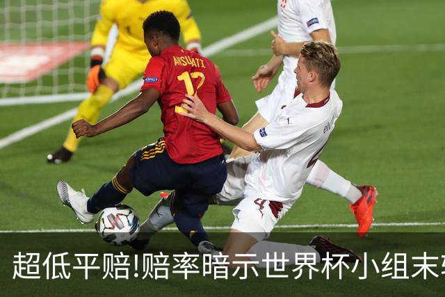 超低平赔!赔率暗示世界杯小组末轮一场默契球?